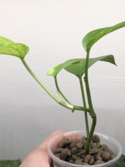 IMG_8014.jpeg