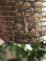 IMG_8013.jpeg