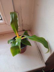 IMG_20250302_173107.jpg