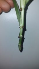 IMG_20250316_100835002.jpg