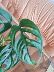 20250317_111138.jpg