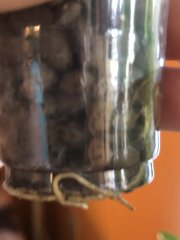 IMG_8272.jpeg