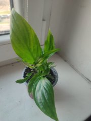 IMG_20250325_083536.jpg