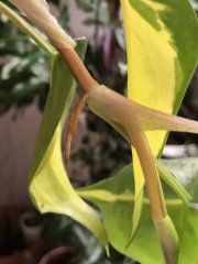 IMG_8430.jpeg