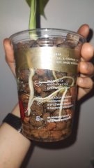 IMG_20250329_143656520.jpg