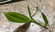 IMG_8459.jpeg
