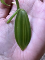IMG_8460.jpeg