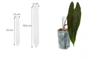 akrylove-stitky-na-identifikaci-rostlin-1-ks-1-5-cm-x-10-cm-aukcerostlin.cz-2.webp