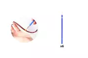 sberac-pylu-pollector-pro-rizene-opylovani-rostlin-aukcerostlin.cz-3.webp