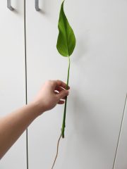 20250410_140456.jpg