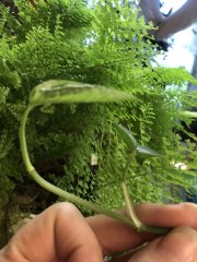 IMG_8693.jpeg