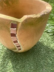 IMG_5982.jpeg