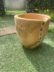 IMG_5981.jpeg