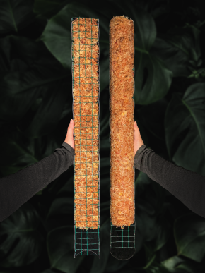 Rašeliníková tyč s plnými zády 100cm - vyplněná