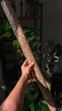 Rašeliníková tyč 100cm - vyplněná