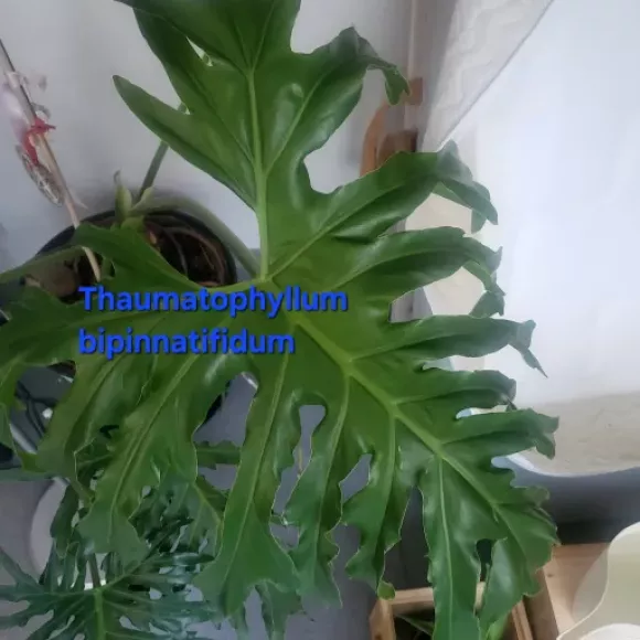 1000010641.webp