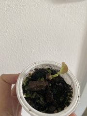 IMG_0051.jpeg