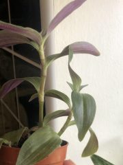 IMG_8941.jpeg