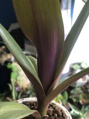 IMG_8902.jpeg