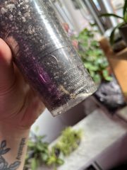 IMG_7029.jpeg