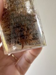 IMG_4868.jpeg