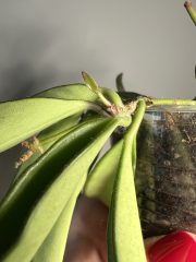 IMG_2816.jpeg