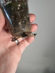 IMG_2847.jpeg