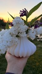 IMG_3125.jpeg