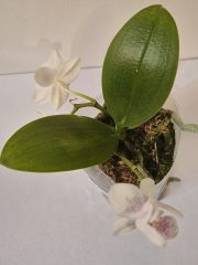 IMG-20250518-WA0031.jpg