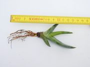 DSCN8816.JPG