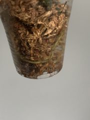 IMG_3035.jpeg