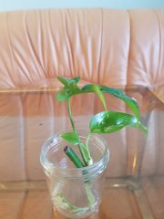 20250523_202302.jpg