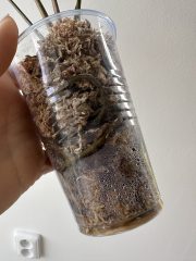 IMG_4826.jpeg