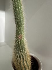 IMG_3150.jpeg
