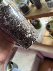 IMG_7309.jpeg