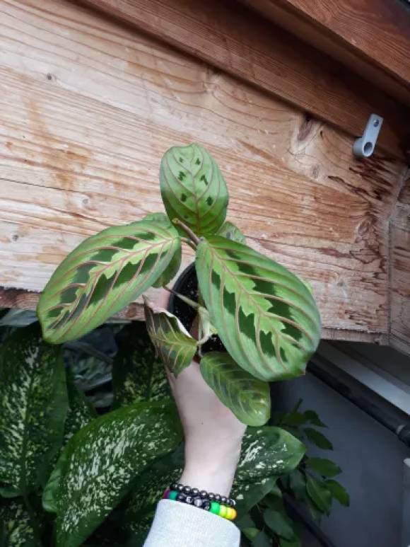 20221014_124750.jpg