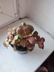 IMG_20221023_164018.jpg