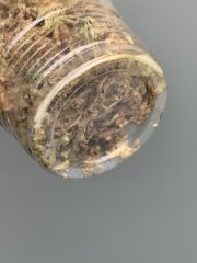 IMG_3558.jpeg