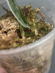 IMG_3557.jpeg