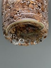 IMG_3571.jpeg