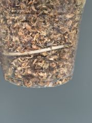 IMG_3580.jpeg