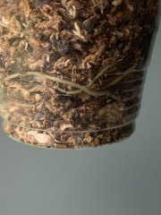 IMG_3671.jpeg