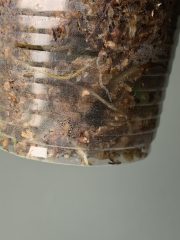 IMG_3663.jpeg