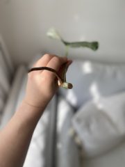 tempImageKfru9A.jpg