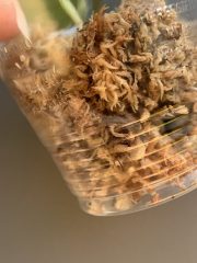 IMG_4078.jpeg