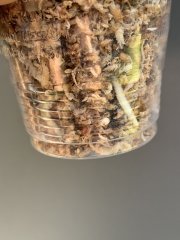 IMG_4086.jpeg