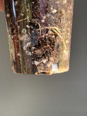 IMG_4098.jpeg