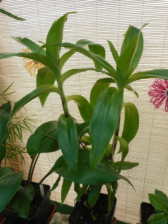 DSCN6258.JPG