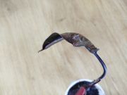 IMG_20250630_172016.jpg