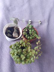 20250707_163732.jpg